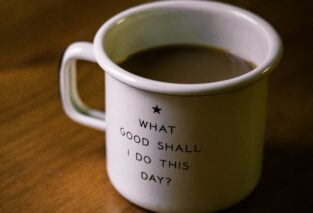 habits are created one step at a time
