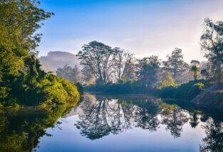 Evidence of God in creation