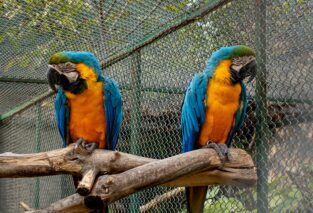 Conflict is a natural part of life and can arise in personal and professional relationships.