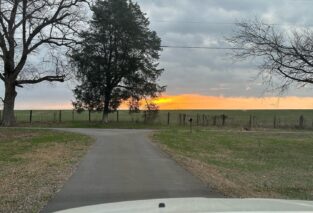 Sunrise