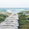 Pathway to beach